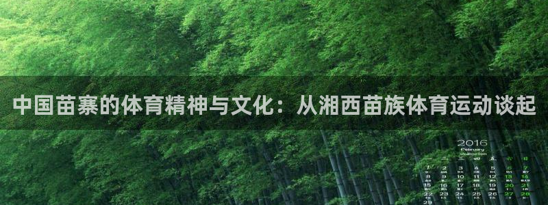 捷豹足球推荐