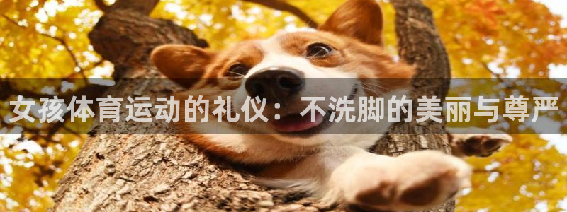 关键词