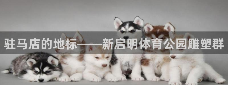 关键词