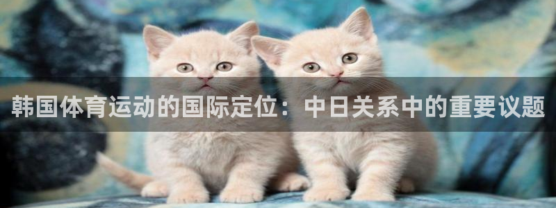 捷豹足球：韩国体育运动的国际定位：中日关系中的重要议题